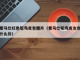 爱马仕红色鸵鸟皮包图片（爱马仕鸵鸟皮女包什么价）