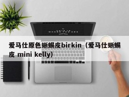 爱马仕原色蜥蜴皮birkin（爱马仕蜥蜴皮 mini kelly）
