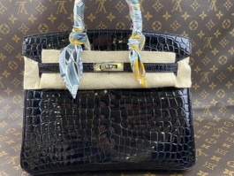 关于爱马仕定制鳄鱼皮birkin的信息