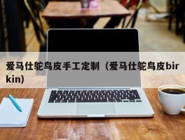 爱马仕鸵鸟皮手工定制（爱马仕鸵鸟皮birkin）