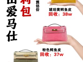 包含儿子想用我100万的鳄鱼皮爱马仕求婚的词条