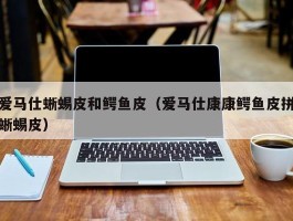爱马仕蜥蜴皮和鳄鱼皮（爱马仕康康鳄鱼皮拼蜥蜴皮）