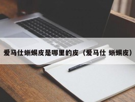 爱马仕蜥蜴皮是哪里的皮（爱马仕 蜥蜴皮）