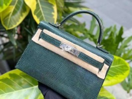 爱马仕蜥蜴皮定制(爱马仕蜥蜴皮 mini kelly)