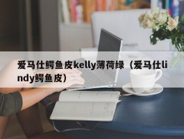 爱马仕鳄鱼皮kelly薄荷绿（爱马仕lindy鳄鱼皮）