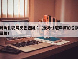 爱马仕鸵鸟皮包包图片（爱马仕鸵鸟皮的包限量版）