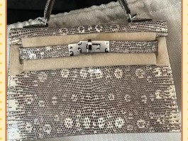 爱马仕蜥蜴包价钱(爱马仕蜥蜴皮 mini kelly)