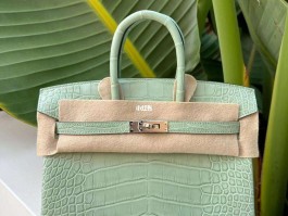 爱马仕鳄鱼皮birkin25香草色(爱马仕鳄鱼皮25黑色金扣birkin)