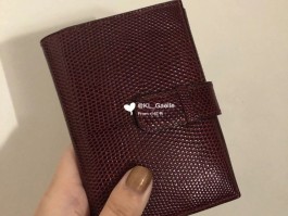 关于柬埔寨爱马仕蜥蜴皮包包定制视频最新中文版的信息