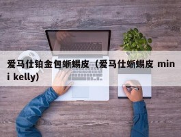 爱马仕铂金包蜥蜴皮（爱马仕蜥蜴皮 mini kelly）