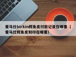 爱马仕birkin鳄鱼皮付款记录在哪里（爱马仕鳄鱼皮刻印在哪里）