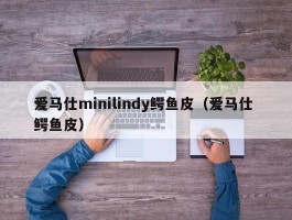 爱马仕minilindy鳄鱼皮（爱马仕 鳄鱼皮）