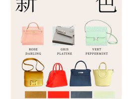 爱马仕雾霾灰蜥蜴皮怎么样(爱马仕蜥蜴皮birkin25)