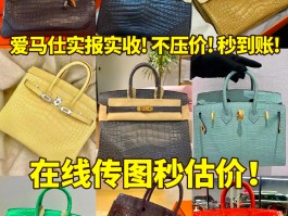 爱马仕鳄鱼皮衣多少钱(爱马仕鳄鱼皮铂金包的好处)