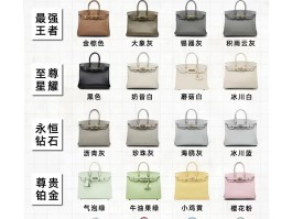 爱马仕包包可以升值吗(爱马仕包包可以升值吗现在)