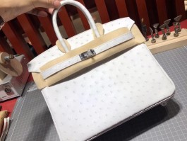 爱马仕birkin鸵鸟二手(爱马仕鸵鸟皮kelly25包包什么价)