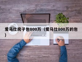 爱马仕房子包800万（爱马仕800万的包）