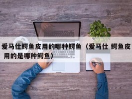 爱马仕鳄鱼皮用的哪种鳄鱼（爱马仕 鳄鱼皮 用的是哪种鳄鱼）