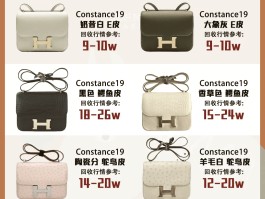 爱马仕蜥蜴扣康康公价(爱马仕蜥蜴皮 mini kelly)