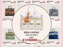 爱马仕房子包专柜价格(爱马仕房子包多少钱一个)