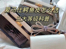 爱马仕鳄鱼等级划分(爱马仕鳄鱼皮是哪种鳄鱼)