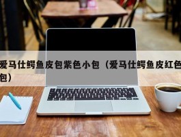 爱马仕鳄鱼皮包紫色小包（爱马仕鳄鱼皮红色包）