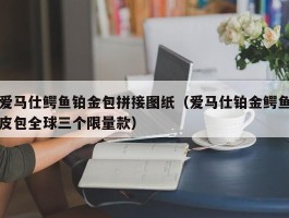 爱马仕鳄鱼铂金包拼接图纸（爱马仕铂金鳄鱼皮包全球三个限量款）