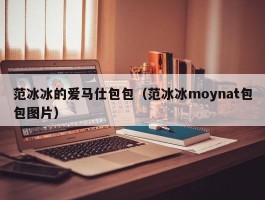 范冰冰的爱马仕包包（范冰冰moynat包包图片）