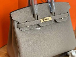 爱马仕铂金包蜥蜴(爱马仕birkin25蜥蜴皮)