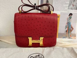爱马仕鸵鸟皮女包什么价(爱马仕鸵鸟皮birkin)