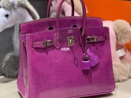 爱马仕拼蜥蜴皮(爱马仕蜥蜴皮birkin)