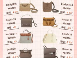 爱马仕箱包价格(爱马仕箱包价格及图片)