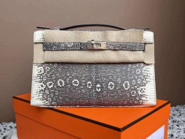 爱马仕的蜥蜴皮叫什么(爱马仕蜥蜴皮birkin)