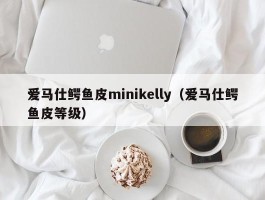 爱马仕鳄鱼皮minikelly（爱马仕鳄鱼皮等级）
