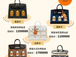 爱马仕鳄鱼皮排行榜(爱马仕的鳄鱼皮是什么鳄鱼)