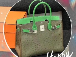 爱马仕birkin30鸵鸟皮价钱的简单介绍