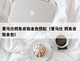爱马仕鳄鱼皮铂金包搭配（爱马仕 鳄鱼皮 铂金包）