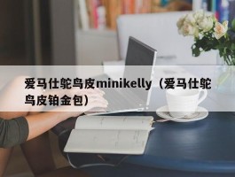 爱马仕鸵鸟皮minikelly（爱马仕鸵鸟皮铂金包）