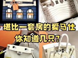 爱马仕喜马拉雅包价格(爱马仕喜马拉雅包价格多少)