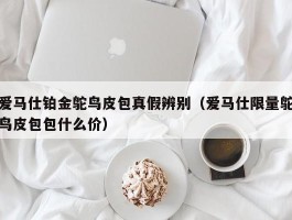 爱马仕铂金鸵鸟皮包真假辨别（爱马仕限量鸵鸟皮包包什么价）