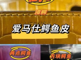 爱马仕鳄鱼皮为什么稀少(爱马仕鳄鱼皮brikin)