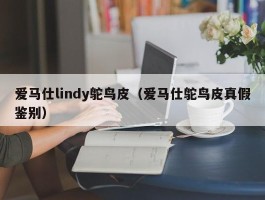 爱马仕lindy鸵鸟皮（爱马仕鸵鸟皮真假鉴别）