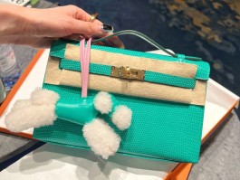 爱马仕原皮蜥蜴(爱马仕蜥蜴皮包价位)