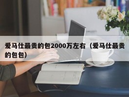 爱马仕最贵的包2000万左右（爱马仕最贵的包包）