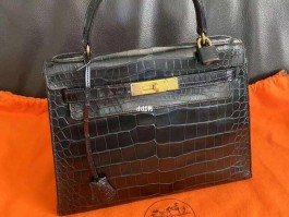 爱马仕birkin25鳄鱼皮(爱马仕birkin25鳄鱼皮黑色)