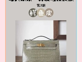 爱马仕鳄鱼皮等级排名(爱马仕鳄鱼皮真的是鳄鱼皮吗)