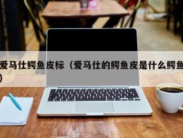 爱马仕鳄鱼皮标（爱马仕的鳄鱼皮是什么鳄鱼）