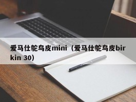 爱马仕鸵鸟皮mini（爱马仕鸵鸟皮birkin 30）