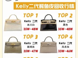 爱马仕birkin鳄鱼皮多少钱(爱马仕birkin25专柜多少钱)