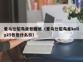 爱马仕鸵鸟皮包图纸（爱马仕鸵鸟皮kelly25包包什么价）